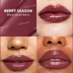 رژ لب حجم دهنده و براق کننده لب شیگلم SHEGLAM رنگ Berry Season - Image 2